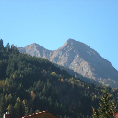 Haus Zerza Apartment Dorfgastein Luaran gambar